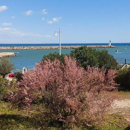 T3 Carnon, 1Ere Ligne 50M Plage Terrasse Parking Mauguio Exterior photo